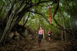 BIB: 
                            <button type="button" onclick="openModal(22178343)" class="btn btn-primary btn-sm float-right btn-popup" data-toggle="modal" data-target=".modal-high-quality">
                        <i class="fas fa-shopping-cart"></i> Add to Cart
                    </button>
                                            <button type="button" onclick="isThisMe(22178343, true)" class="btn btn-success btn-sm float-right btn-popup btn-isme hidden" data-toggle="tooltip" data-placement="bottom" title="นี่คือรูปของคุณใช่ไหม คลิกที่นี่เพื่อเอาเข้าอัลบั้ม">
                        <i class="fas fa-plus"></i> Add to album
                    </button>
                    <button type="button" onclick="isThisMe(22178343, false)" class="btn btn-warning btn-sm float-right btn-popup btn-isnotme hidden">
                        <i class="fas fa-ban"></i> Remove from album
                    </button>